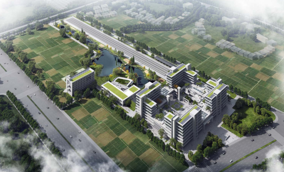 近20台“森林舞会网页版绿”装备实力集结，助力广佛西环工程建设跑出“加速度”