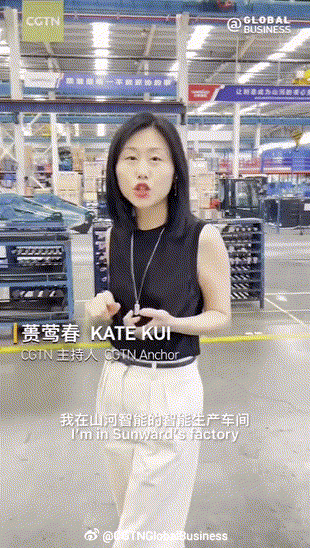 CGTN探厂！专访森林舞会网页版智能董事长、首席专家何清华花絮来了