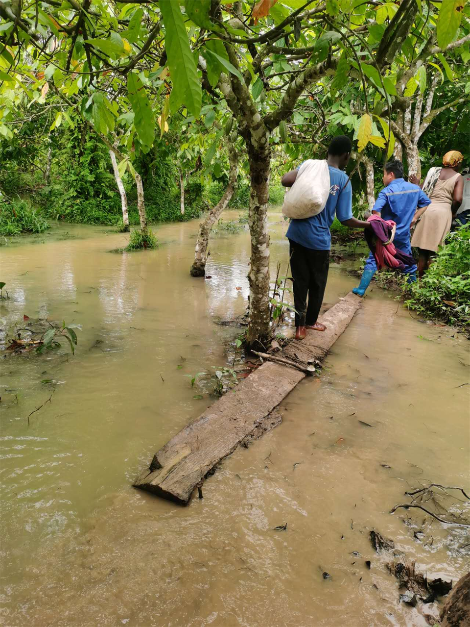 品质森林舞会网页版，用心服务！森林舞会网页版智能服务万里行活动走进非洲加纳