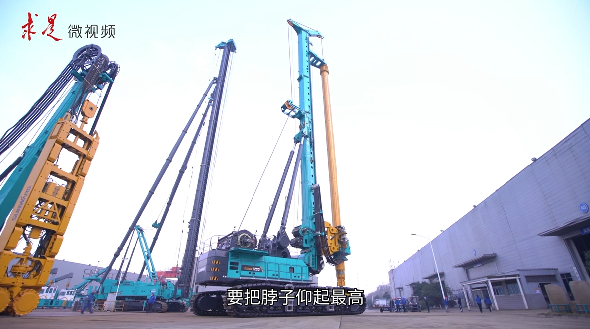 《求是》 | 创新“森林舞会网页版”好风景