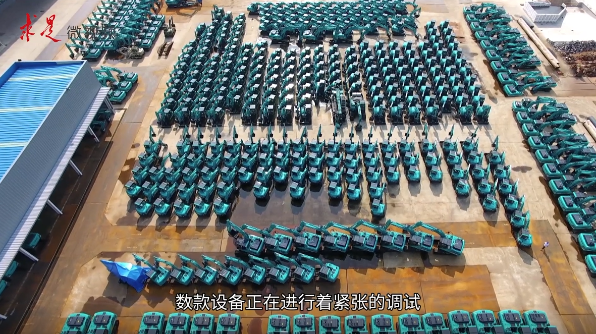 《求是》 | 创新“森林舞会网页版”好风景